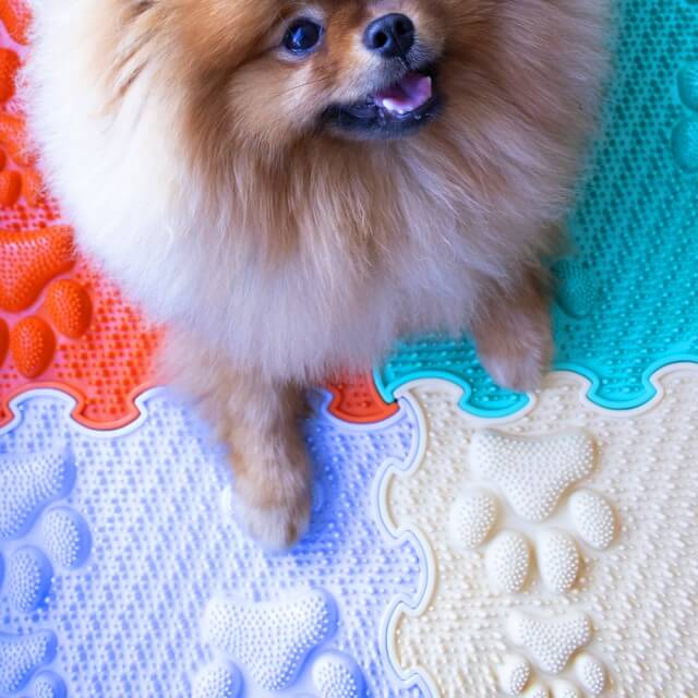 Produs sigur pentru copii, adulti si animale